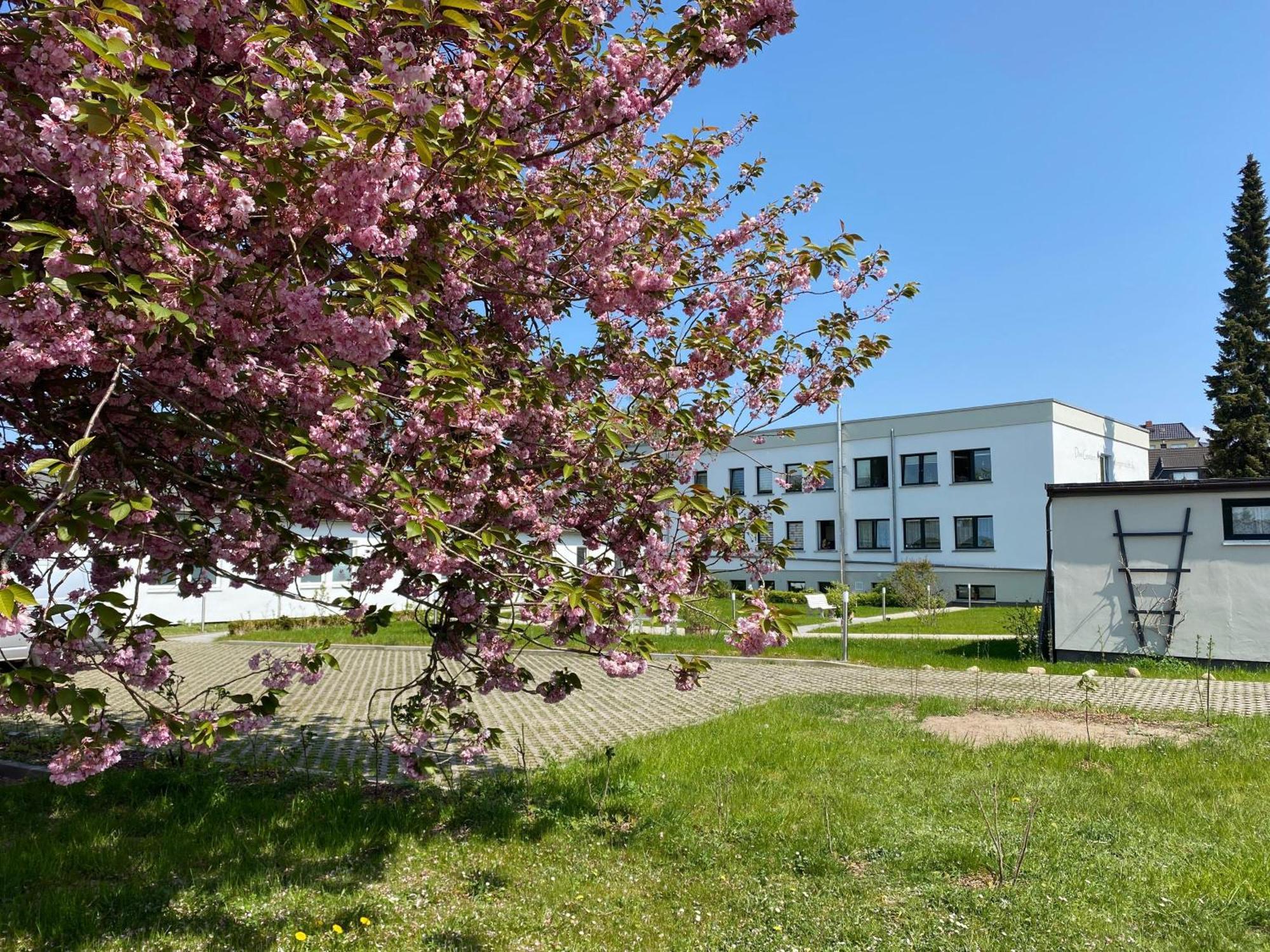 Apartment-Ferientiet Bergen Auf Rugen Extérieur photo